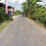 Warga Keluhkan Kerusakan Parah Jalan Desa Waung, Pemerintah Kabupaten Tulungagung Diminta Segera Bertindak