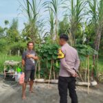 Budidaya Cabai dan Labu Air, Polres Nganjuk Dukung Ketahanan Pangan Lewat Pemanfaatan Pekarangan Warga