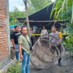 Polsek Ngronggot Dukung Ketahanan Pangan, Ratusan Bibit Sayuran Siap Ditanam di Pekarangan Warga