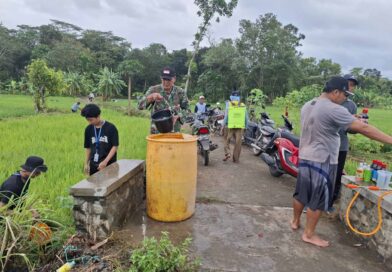 Di Pematang Sawah, TNI Hadir untuk Negeri: Kisah Babinsa Pelda Sunarman Jaga Ketahanan Pangan Trenggalek