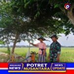 Dukung Ketahanan Pangan, Pelda Nurhariyadi Dampingi Petani Usir Hama dan Cek Pompa Air