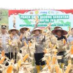 Polres Nganjuk Dukung Swasembada Pangan Lewat Panen Raya Jagung Serentak di Rejoso