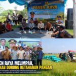 Plt Bupati Tulungagung, Hadiri Panen Raya di Desa Kepuh, Optimis Wujudkan Swasembada Pangan 2026