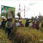 Tradisi Labuh dan Panen Raya di Ngunggahan, Plt Bupati Tegaskan Komitmen Perkuat Infrastruktur Pertanian  TULUNGAGUNG
